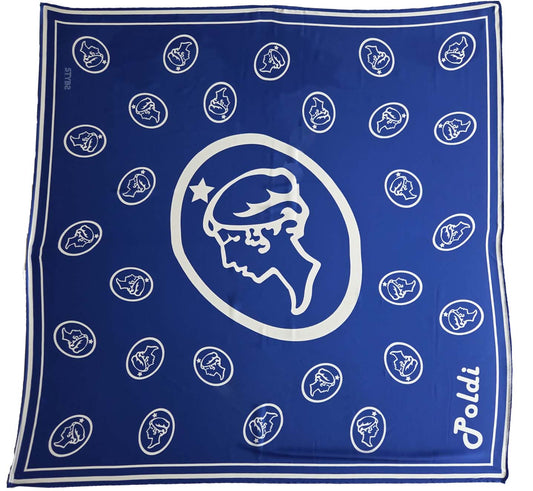 113 | Saténový šátek Poldi